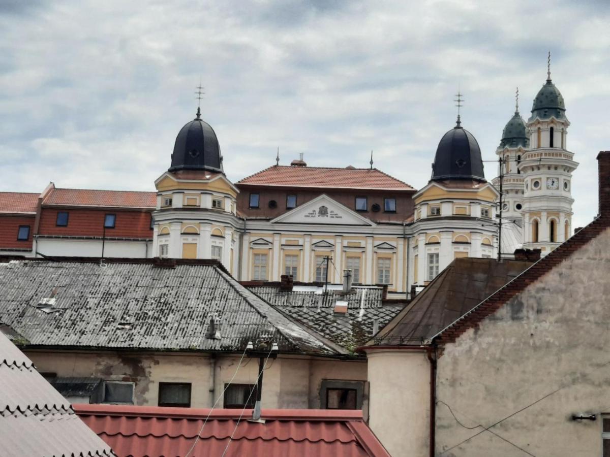 Vip Apartment On Duhnovicha Street .Free Parking. Uzhhorod Ngoại thất bức ảnh